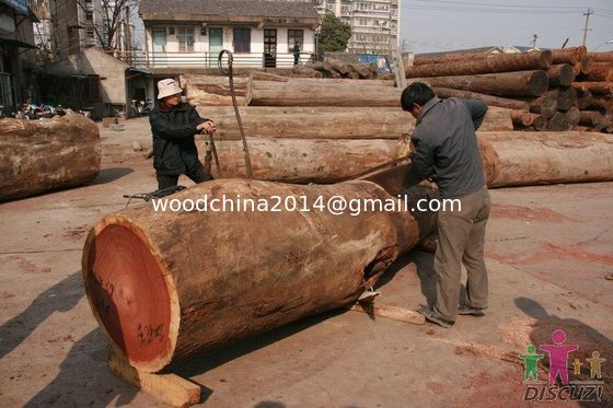 Big power gasoline chain saw wood log cutting machine with best price